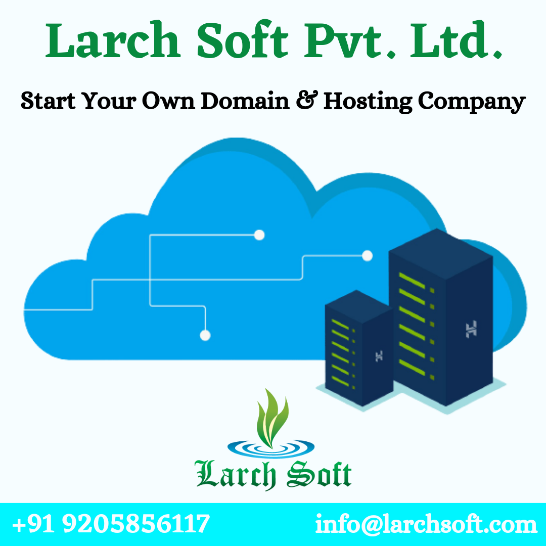Larch Soft Hosting Provider Company